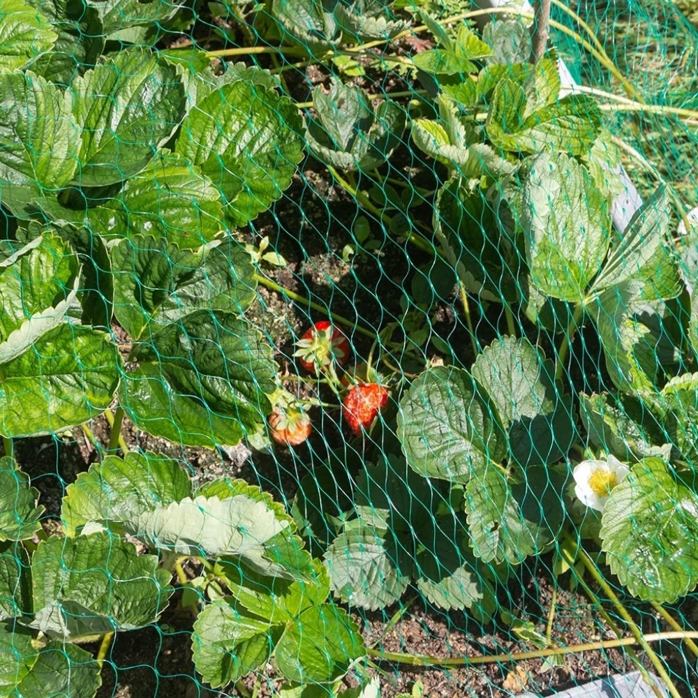 32ft x 6 ft Garden Netting pest barier
